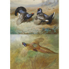 Декупажная карта-бумага 21*30см 55г/м Фабрика Декора FDCD-0040