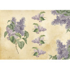 Декупажная карта-бумага 21*30см 55г/м Фабрика Декора FDCD-0043