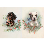 Декупажная карта-бумага 21*30см 55г/м Фабрика Декора FDCD-0123