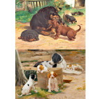 Декупажная карта-бумага 21*30см 55г/м Фабрика Декора FDCD-0129