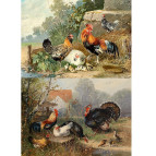 Декупажная карта-бумага 21*30см 55г/м Фабрика Декора FDCD-0133