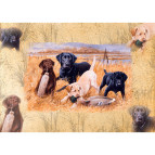 Декупажная карта-бумага 21*30см 55г/м Фабрика Декора FDCD-0228