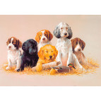 Декупажная карта-бумага 21*30см 55г/м Фабрика Декора FDCD-0230