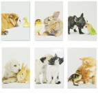 Блокнот 8,3*6см 40 листов дитячий Друзья 52902