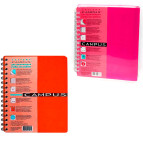 Тетрадь на спирали А5 144л. Офорт Campus пластиковая обложка 3 раздела CA5144-810