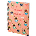 Блокнот на спирали А5 Axent 96л. ВВН-2 8032-10-A