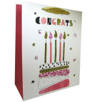 Пакет подарочный бумажный HP 26*32*12см HP-736M-1 Congrats