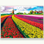 Картина раскраска по  номерам на холсте - 40*50см Josef Otten RSB8392_B Поля цветов