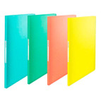 Папка с 40 файлами А4 Esselte Colour'ice 62622*