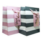 Пакет подарочный бумажный 18*23*10см Полоски 8299-S