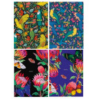 Тетрадь А5 80л. Школярик Twin book Student 40л в клетку + 40л чистых А5-2х040-582