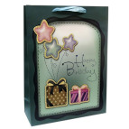 Пакет подарочный бумажный HP 31*42*12см HP-735L-2 Happy Birthday