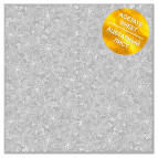 Ацетатный лист 30,5*30,5cм Фабрика Декору с фольгированием White Poinsettia FDFMA-1-036