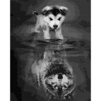 Картина раскраска по  номерам на холсте - 40*50см Никитошка GX28637 Отражение. Волк