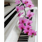 Картина раскраска по  номерам на холсте - 40*50см Никитошка GX28313 Розовая орхидея