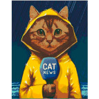 Картина раскраска по  номерам на холсте - 35*45см Rosa Premium +GiftBox N0001393 Cat news