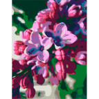 Картина раскраска по  номерам на холсте - 35*45см Rosa Premium N00013176 Сирень