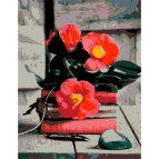Картина раскраска по  номерам на холсте - 35*45см Rosa Premium N00013177 Гармония