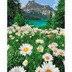 Картина раскраска по номерам на холсте - 40*50см Идейка КН2819 Красота природы