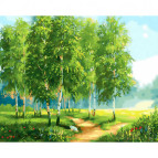 Картина раскраска по  номерам на холсте - 40*50см NEW WORLD TC3060 Березовая роща