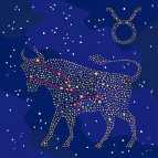 Картина раскраска по  номерам на холсте  - 50*50см Идейка КН9507 Звёздный знак Телец