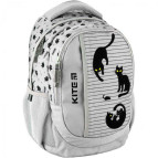 Рюкзак (ранец) школьный KITE мод 855 Education K20-855M-2