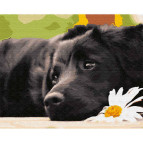 Картина раскраска по номерам на холсте - 40*50см Никитошка GX33820 В ожидании