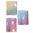 Папка с 20 файлами А4 Wengu M0221-20