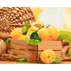 Картина раскраска по  номерам на холсте  - 40*50см Идейка КН5565 Золотистый абрикос