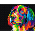 Картина раскраска по  номерам на холсте -  30*40см Никитошка EX5251 Радужная собака
