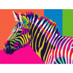 Картина раскраска по  номерам на холсте -  30*40см Никитошка EX5380 Радужная зебра