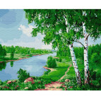 Картина раскраска по  номерам на холсте - 40*50см Никитошка GX24184 Березы у реки