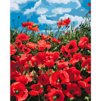 Картина раскраска по номерам на холсте - 40*50см Идейка КН2287 Удивительные маки