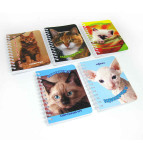 Блокнот на спирали В7 Фолдер 60л. Нявнявчики 692653