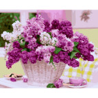 Картина раскраска по  номерам на холсте - 40*50см Никитошка GX29086 Вечерняя сирень