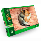 Пазлы  DankoToys 1000 эл. DT C1000-11-09 680*475