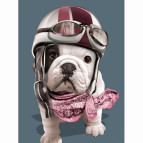 Картина раскраска по  номерам на холсте 20*30см Josef Otten RAS2024_O Biker dog