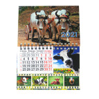 Календарь настенный 2021 Типография Моряк 13*9см с магнитом (ассорти)