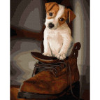 Картина раскраска по  номерам на холсте - 40*50см Никитошка GX37107 Щенок