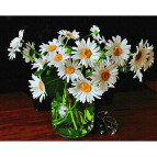 Картина раскраска по  номерам на холсте - 40*50см Никитошка GX37164 Ромашковый букет