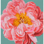 Картина раскраска по  номерам на холсте  - 40*40см Идейка КН2952 Pink kiss