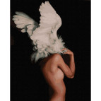 Картина раскраска по  номерам на холсте - 40*50см Никитошка GX29239 Абстракция в крыльях