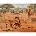 Картина раскраска по  номерам на холсте - 40*50см Никитошка GX40234 Саванна