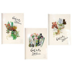 Скоросшиватель А4 Wengu пластиковый с планкой-зажимом L043 Кактус