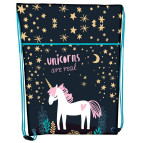 Сумка для обуви Class 210D PL 46*33см Unicorn 2123C