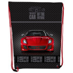 Сумка для обуви Class 210D PL 46*33см Redr Car 2131C