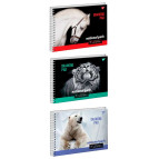 Альбом для рисования А4 20л. YES 100г/м2 спираль Wild portrait 130475