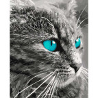 Алмазная живопись мозаика по номерам на холсте - 40*50см Идейка АМО7026 Небесный взгляд