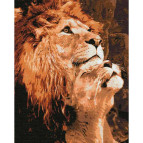 Алмазная живопись мозаика по номерам на холсте - 40*50см Идейка АМО7044 Большая любовь