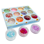 Блестки набор Лидер 12 шт. в пластиковом футляре №3009